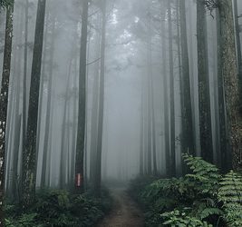 人生小故事   第5集_ 同舟共濟