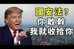 香港希望之聲