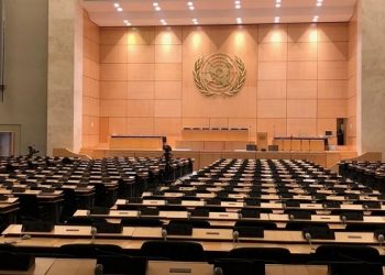 世衛大會在即 日本政府擬定兩項計划向世衛「宣戰」