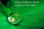 香港希望之聲 香港希望之聲