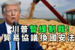 香港希望之聲