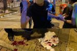香港希望之聲