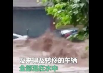 海外留學生反共潮涌現 “青年憲政會”呼籲年輕人推翻中共