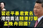 香港希望之聲