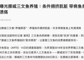 決心讓魚背鍋？中共停止歐州三文魚進口 還嘲諷出口國挪威