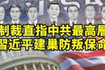 香港希望之聲
