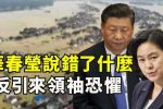 香港希望之聲