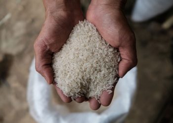 罔顧洪災 習近平視察東北凸顯糧食危機