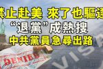 香港希望之聲