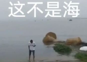 夏糧真能豐收？民衆憂糧產虛報 專家承認洪災影響