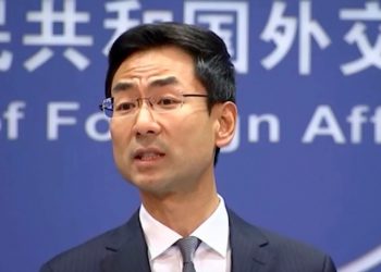 耿爽、華春瑩女兒都留學美國？網友：反美只是工作