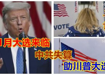 【粤覽新聞】11月大選來臨，中共失算，正在助川普大選
