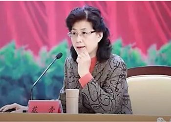 [講開又講]蔡霞事件的意義在那裏？会引起蝴蝶效应嗎？