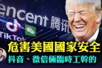 香港希望之聲