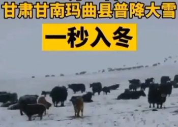 余文生被捕近千日後首見律師 家屬指其身體出現狀況