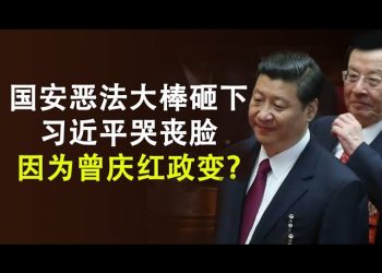 國安惡法大棒砸下,習近平哭喪臉是因曾慶紅政變嗎?逮捕、通緝、DQ,香港立法會選舉推遲一年，中共給國際社會的制裁遞刀