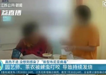 大陸發現新布尼亞病毒  不排除人傳人