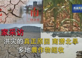[視頻]洪災的真正原因