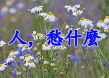 [細説人生] – 人，愁什麼