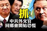香港希望之聲