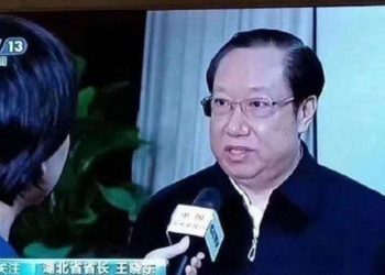 湖北省長王曉東“失蹤”多時 傳患病無法視事