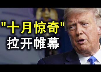 “十月驚奇”拉開帷幕;揭開仇恨川普的真正原因;制裁中芯國際;爲何重賞之下無勇夫?