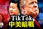 香港希望之聲 香港希望之聲