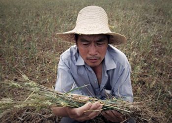 網曝中國多省調升米價 糧食危機顯現？
