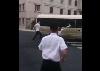 不要命了？網曝習近平訪汕頭 一女子突然衝上去（視頻）