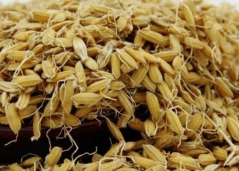 網傳糧食公司發通知：全國大米減產30% 糧價將大幅增長