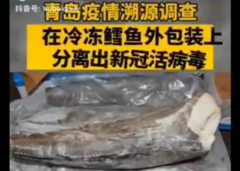 青島疫情甩鍋成功！進口冷凍鱈魚外包裝驗出活病毒（視頻）