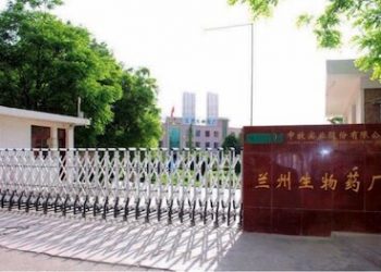 又是隱瞞惹禍？官報蘭州布魯氏菌感染人數增至6千多