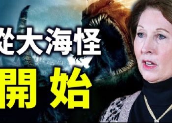 直播【時事熱點】川普還有有什麼招數可以用？目前各州的訴訟情況如何？