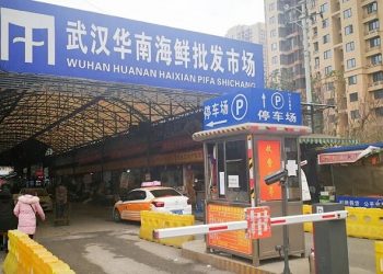 世衛專家：中共病毒源自中國說得通