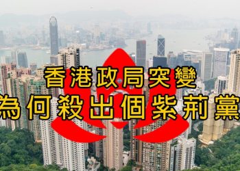 【新聞追蹤】香港政局突變	為何殺出個紫荊黨