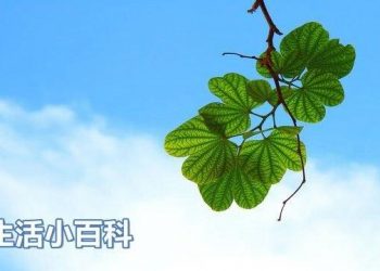 【生活小百科】第261集：每天打扫15分钟 年终大扫除没压力