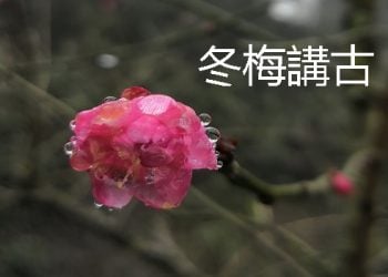 【冬梅講古】俞淨意公遇灶神記 （中）