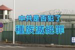 香港希望之聲