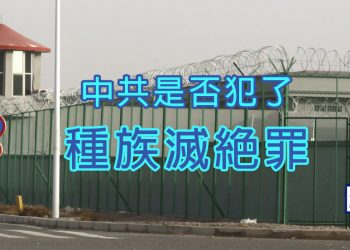 【新聞追蹤】中共是否犯了種族滅絕罪