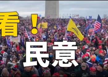 【粵覽新聞】各地民眾赴華府 人山人海…