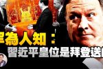 香港希望之聲