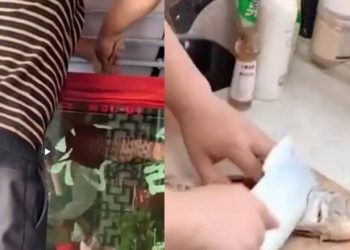 石家莊封城 男子4天沒食物 吃掉昂貴金龍魚