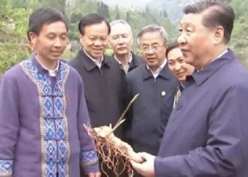 陳敏爾獨獲中央巡視表揚 二十大要頂掉王滬寧？