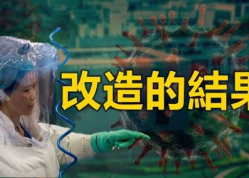 【粵覽新聞】法媒:新冠病毒是石正麗改造的病毒?私通女共諜議員恐面臨被情報委員會撤職 土耳其海運中國 六千噸銅不翼而飛?…