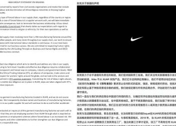 H&M、耐克皆因新疆棉躺槍 胡錫進搞混水被罵翻