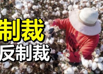 【每日要聞】美加被列入北京制裁名單 布林肯:國際監督力道將更大;挺新疆棉 無印良品股票遭日本投資人拋售…