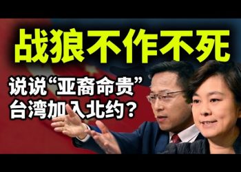 【天亮時分】美國、歐盟、英國、加拿大制裁中共；臺灣加入北約？川普對拜登說了什麼？白宮推特暗示權力交接啓動；說說“亞裔命貴”