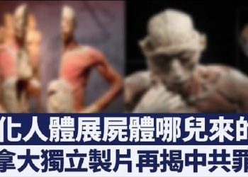 《終止中共移植濫用國際聯盟》: 中共屍展源來自被謀殺的良心犯