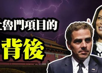 【粵覽新聞】哈裏斯陷“杜魯門”案 兒媳採訪川普的視頻遭臉書禁止 閆麗夢發表第三份中共病毒報告揭世衛科學誤導陸12省現傷人蟻…