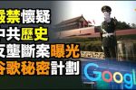 香港希望之聲